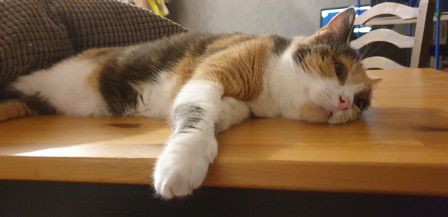 Iliah.jpg, août 2019