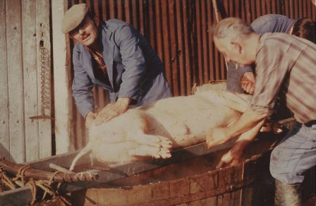 cochon1978_02.jpg