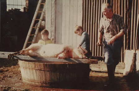 cochon1978_03.jpg