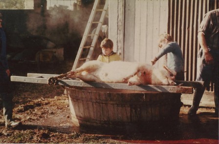 cochon1978_04.jpg