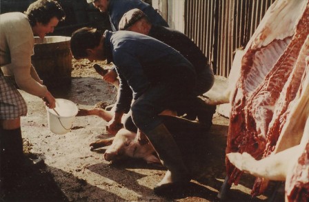 cochon1978_07.jpg