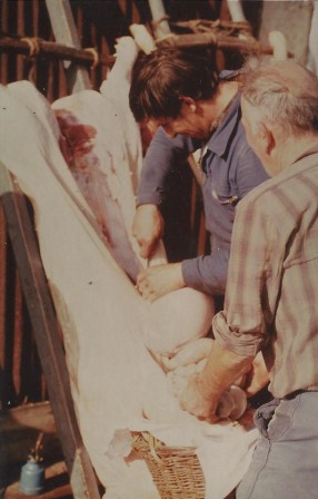 cochon1978_08.jpg