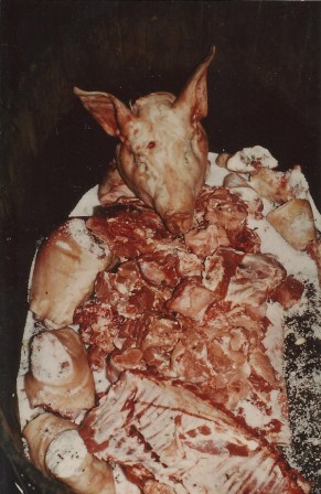 cochon1978_11.jpg