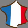 logo-france.png